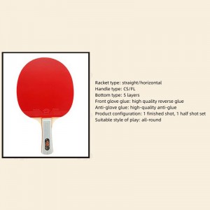 Portable Table Tennis Paddle Set for Indoor and Outdoor Games