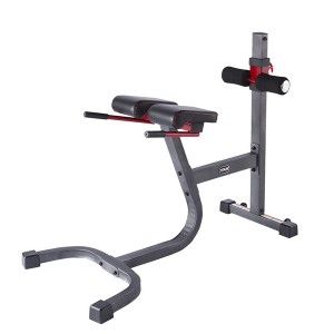 Fitness 3013RC: Commercial Gym Oefeningsapparatuer Back Extension Banken Romeinske stoel