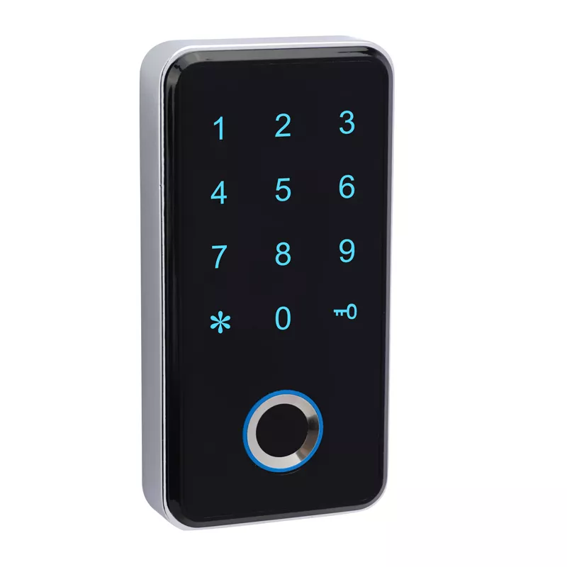 Who would you rather pay for the 300 and 3000 smart locks?