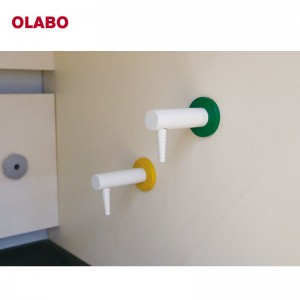 OLABO Manufacturer Ducted Fume-Hood(P) For Lab