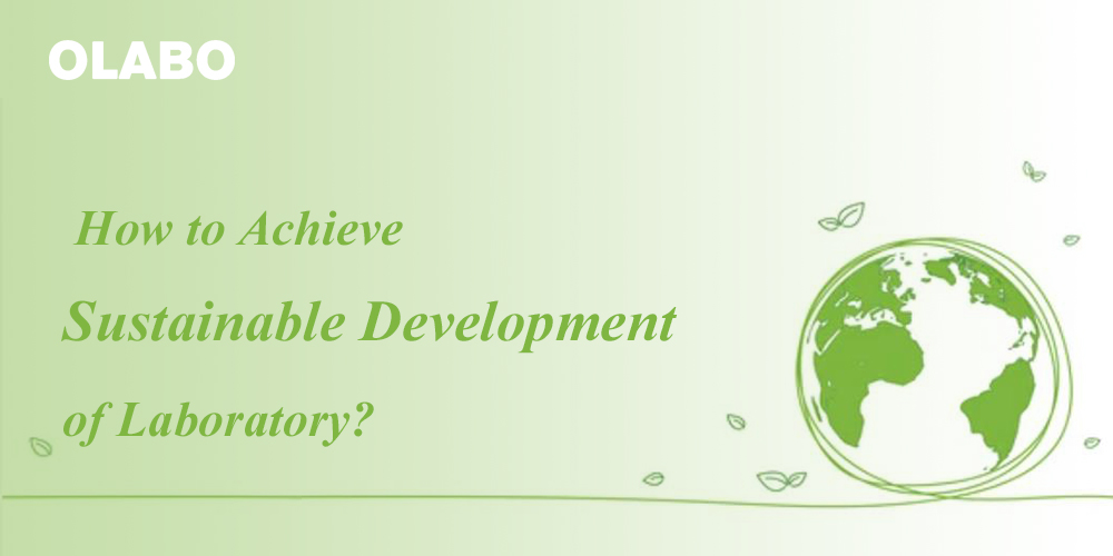 How to Achieve Sustainable Development of Laboratory?