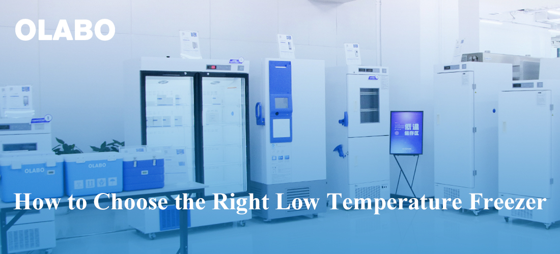 How to Choose the Right Low Temperature Freezer