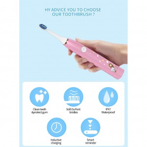 Hot-selling Waterproof Ipx7 Adult Sonic Electric Toothbrush with Two Headers