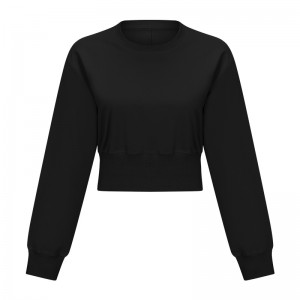 OEM/ODM Factory China Hot Sell Women Crop Top Casual Dropped Shoulders Plain Velour Hoodies Sweatshirts