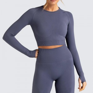 2019 High quality China Fashion Hot Sexy Tight Slim Long Sleeve Gym Running Sport Ftiness Yoga Set with Zipper