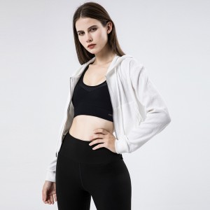 Factory Price China Custom Women Fashion Crop Top Hoodies Fleece Terry Sweatshirts Long Sleeve Hoodies