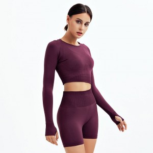 Women seamless yoga wear set long sleeve crop top butt lift gym shorts 2pcs-Seamless|Activewear