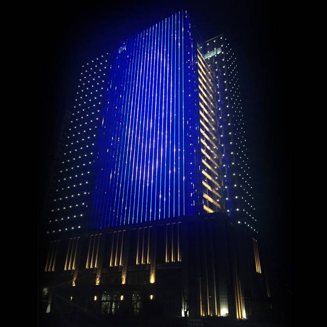 OEM China Spotlights For Stage - 1 meter and 0.5 meter length dmx led lights for building decoration – REIDZ