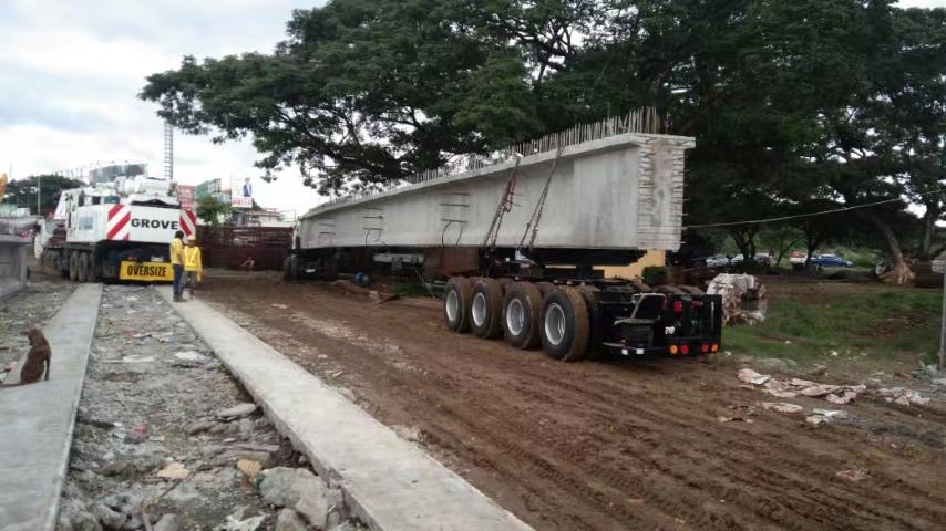 customized dolly trailer working in philippines