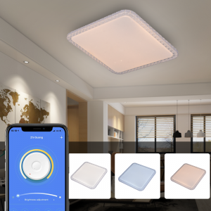 OSTOOM Special design high quality 2.4G control ceiling lamp surface mounted home decor led ceiling lights