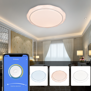 LED Light Ceiling Round Shape Show DIY Logo Popular Lamp Ceiling Smart Light Wireless 2.4G Dimmer Convenience Life CCT Surface Mount