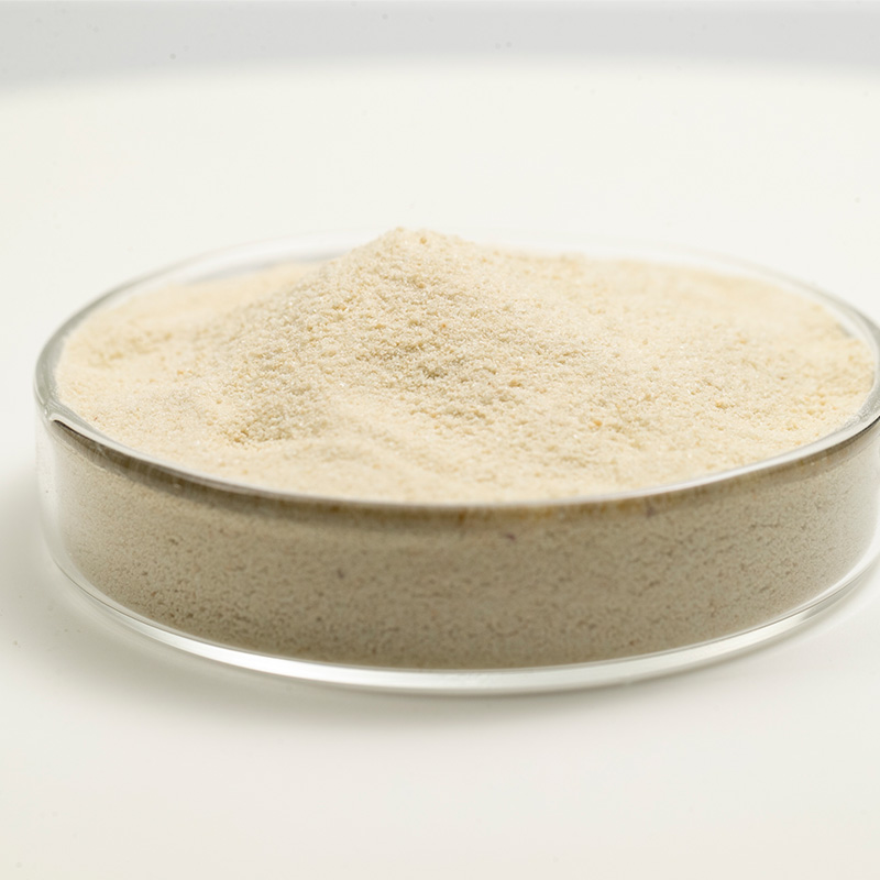 High Quality Selenium Yeast for Animal Feed Featured Image