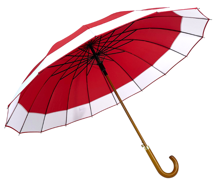 Behind the Canopy: Exploring the Ingenious Designs of Umbrella Frames (2)