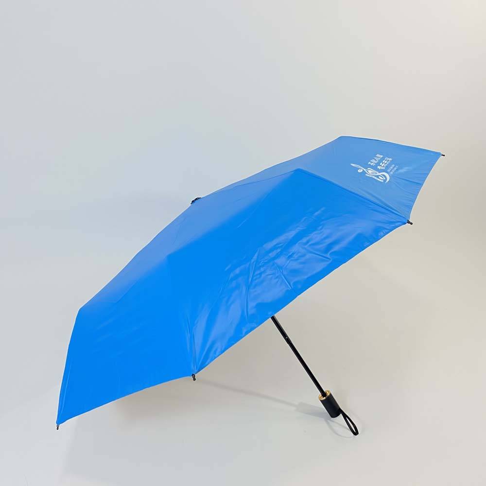 Cheapest Factory Adult Led Umbrella - 21 inch 8 ribs manual open color coating custom design 3 fold umbrella – DongFangZhanXin