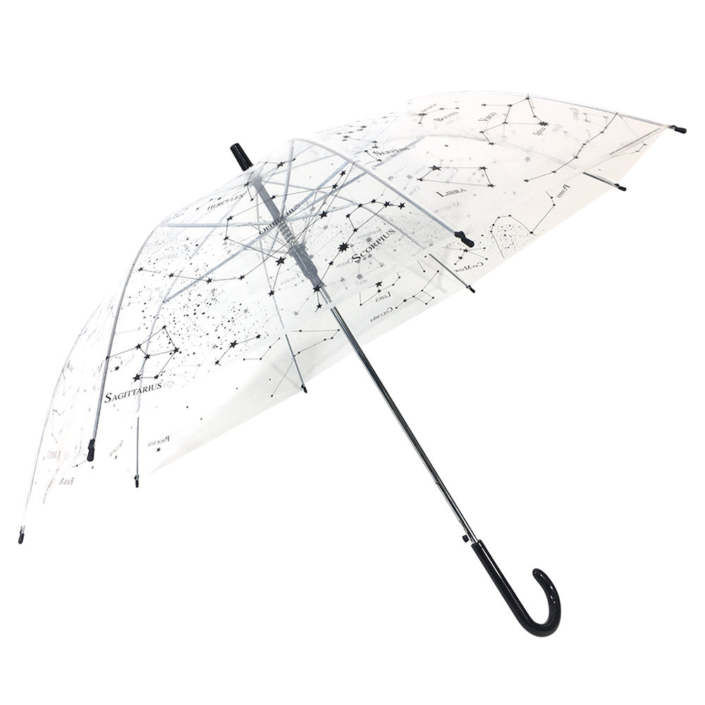 Newly Arrival Advertisement Of Umbrella - Ovida PVC Plastic Umbrella With Custom Logo Prints See Throught Clear Umbrella – DongFangZhanXin