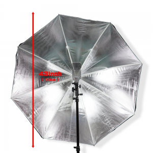 Ovida Photography Photo Video Portrait Studio Day Light Umbrellas
