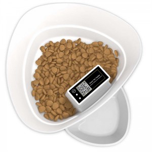 Wi-Fi Smart Pet Feeder 1010-TY with Remote Control