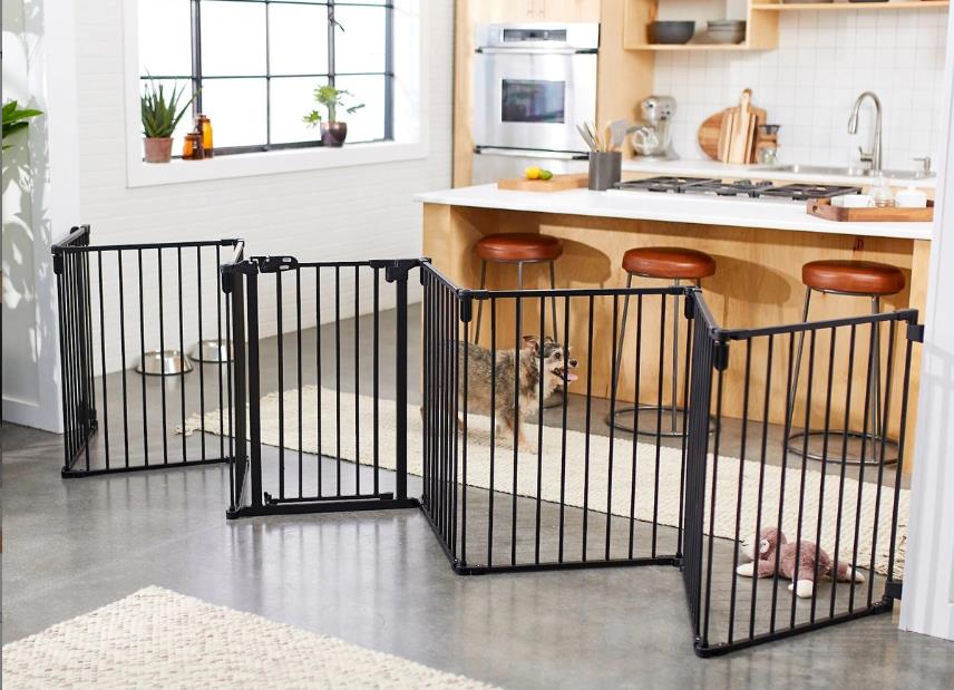 Wireless VS In-Ground Pet Fence: Which is Best for My Pet and Me?