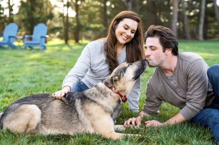 Pet parent survey: why pets are the best, and how to show them you care