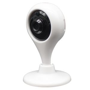 Veleprodaja OEM/ODM Kina nadzorna CCTV lažna sigurnosna kamera s jednim LED svjetlom upozorenje Sigurnosno upozorenje