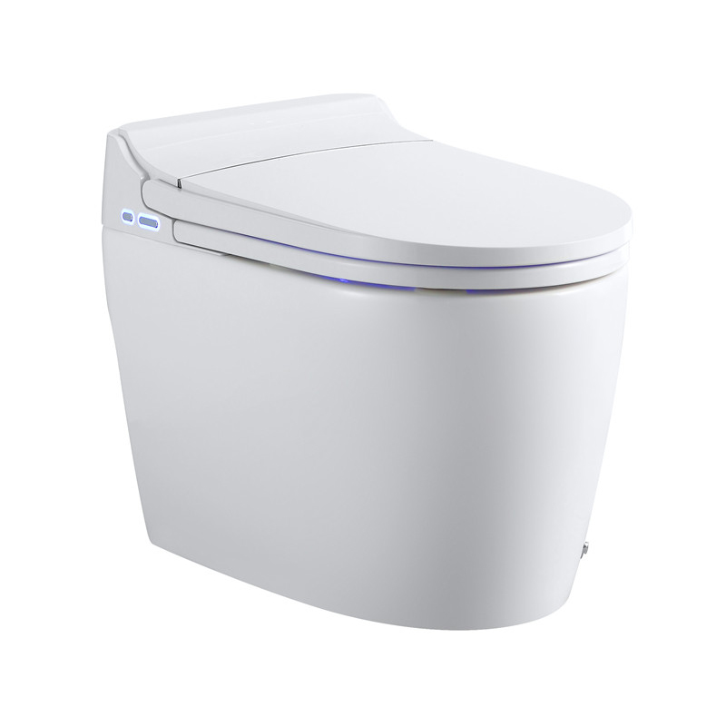 One of Hottest for Soft Close Toilet Seat - Good flush function smart one-piece toilet,instant and constant temperature smart toilet – Ouweishi