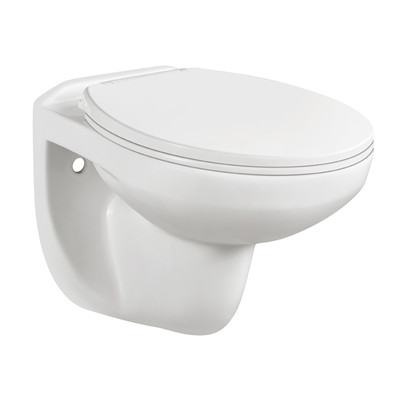 2022 Latest Design Soft Touch Toilet Seat - Washdown Wall-hung toilet with slow down seat cover. – Ouweishi