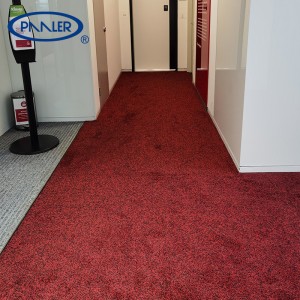 Luxury Indoor Non-slip Water Absorption Floor Carpet Door Mats