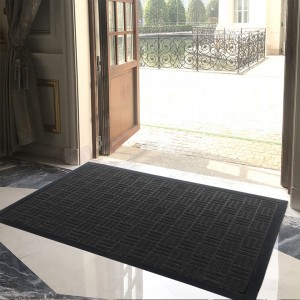 Anti-slip Area Entrance Carpets and Rugs Door Mat Floor Roll