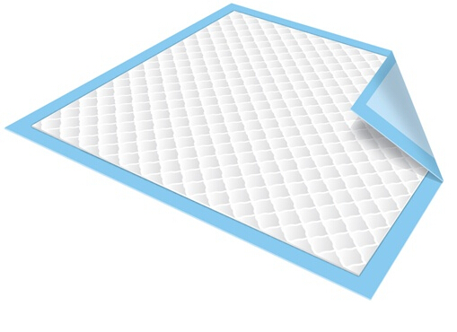 Introducing the Revolutionary Disposable Puppy Training Pad