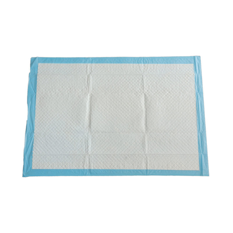 Disposable Puppy Pee Pad for Dog Potty Training1