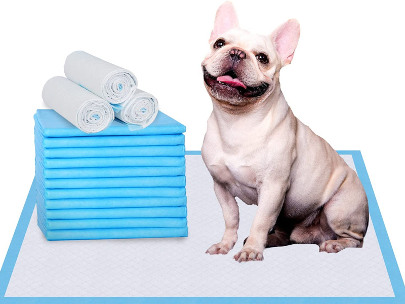 Disposable puppy pad is one better choice for dog potty training
