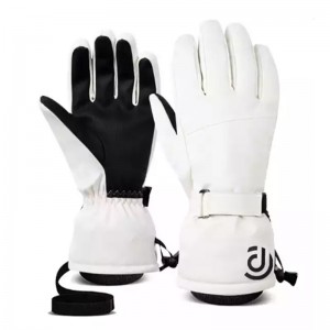 Outdoor Waterproof Winter Warm Ski Gloves Windproof Snowboard Snow Gloves Touchscreen Cold Weather Gloves