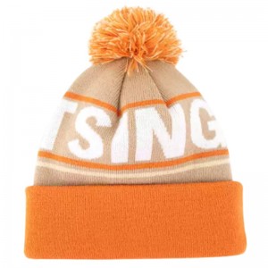 Wholesale Warm Winter Hat Outdoor Cycling Ski Travel Knitted Pom Beanie Hat Custom Embroidery Logo Pom Beanies For Women And Man
