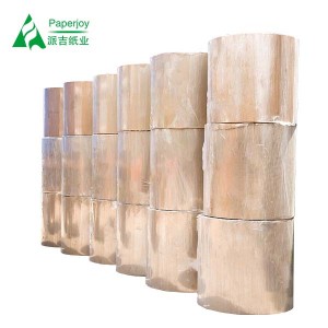 Food Grade Paper Cup Raw Material PE Coated Paper Roll Wood Pulp Jumbo Roll