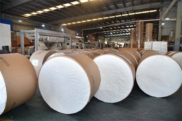 Key factors to consider when purchasing PE coated paper as a raw material for paper cups