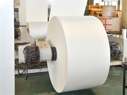 What is the difference between PE coated paper roll and PLA coated paper, which one is better?