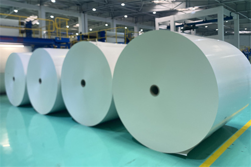 FSC Certification Brings Consumers Confidence in Paper and Board