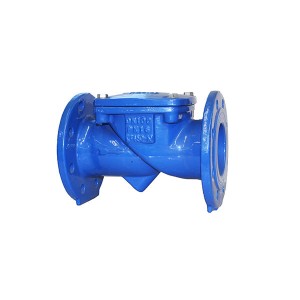 18 Years Factory Ductile Iron Non Return Check Valve - Swing Check Valves Non-Return Valves – CVG