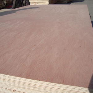 Rapid Delivery for 19mm Marine Ply - Commercial Plywood –  Peonywood