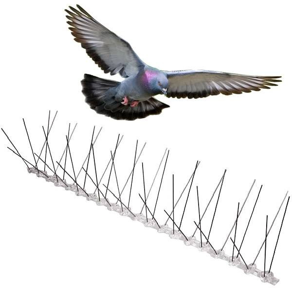 Bird Spikes Pigeon Nails Flexible Stainless Steel Spikes with Plastic Base Featured Image