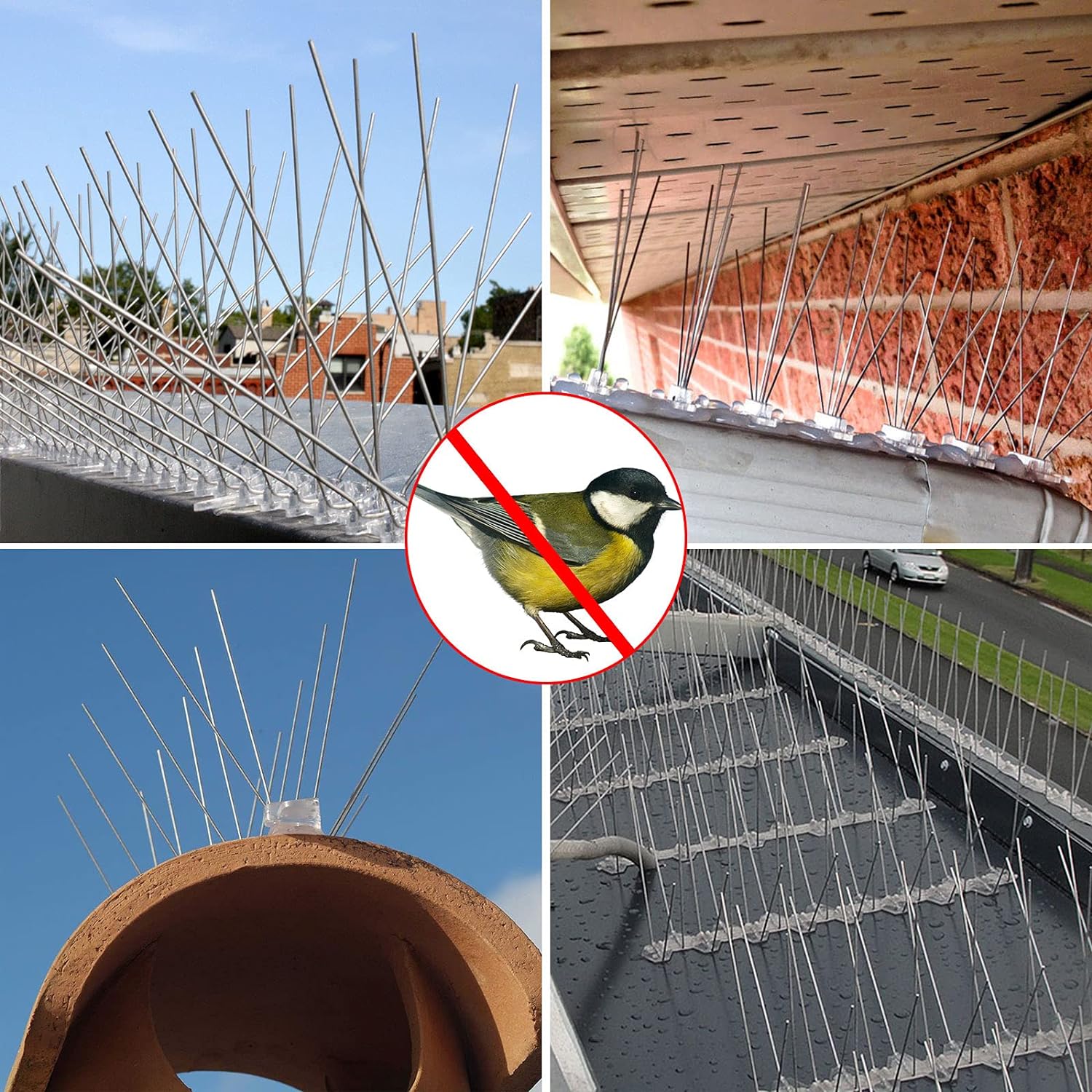 Protect Your Property with Innovative Bird Proofing Spikes by Hebei Tengfei Wire Mesh Co. Ltd.