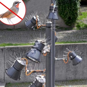 Cheap Price Plastic Pest Control Self-adhesive Anti Pigeon Deterrent Bird Spikes