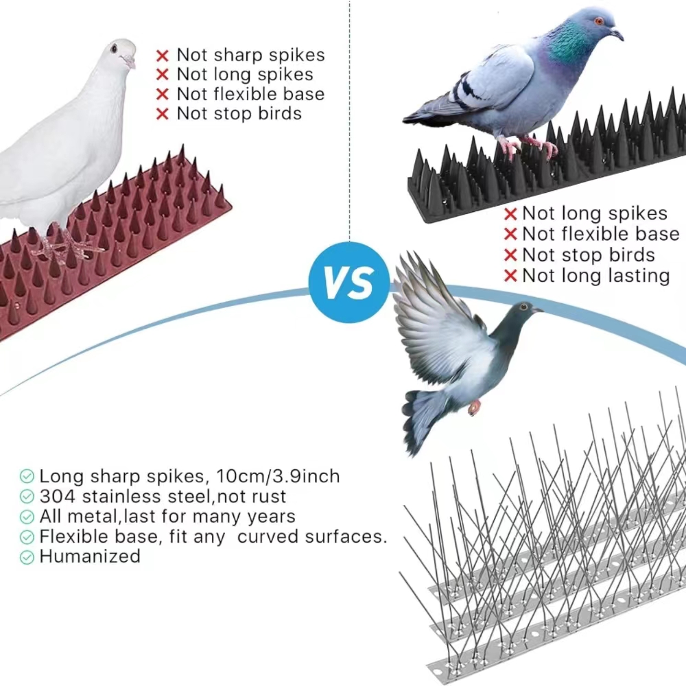 Innovative Stainless Steel Bird Spikes Revolutionize Avian Control Solutions
