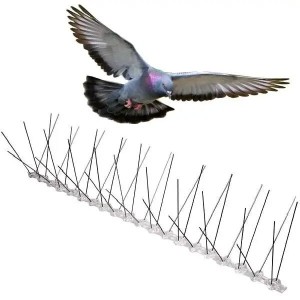 Bird Spikes:Keeping Pest Birds at Bay with Effective Bird Deterrent Solutions