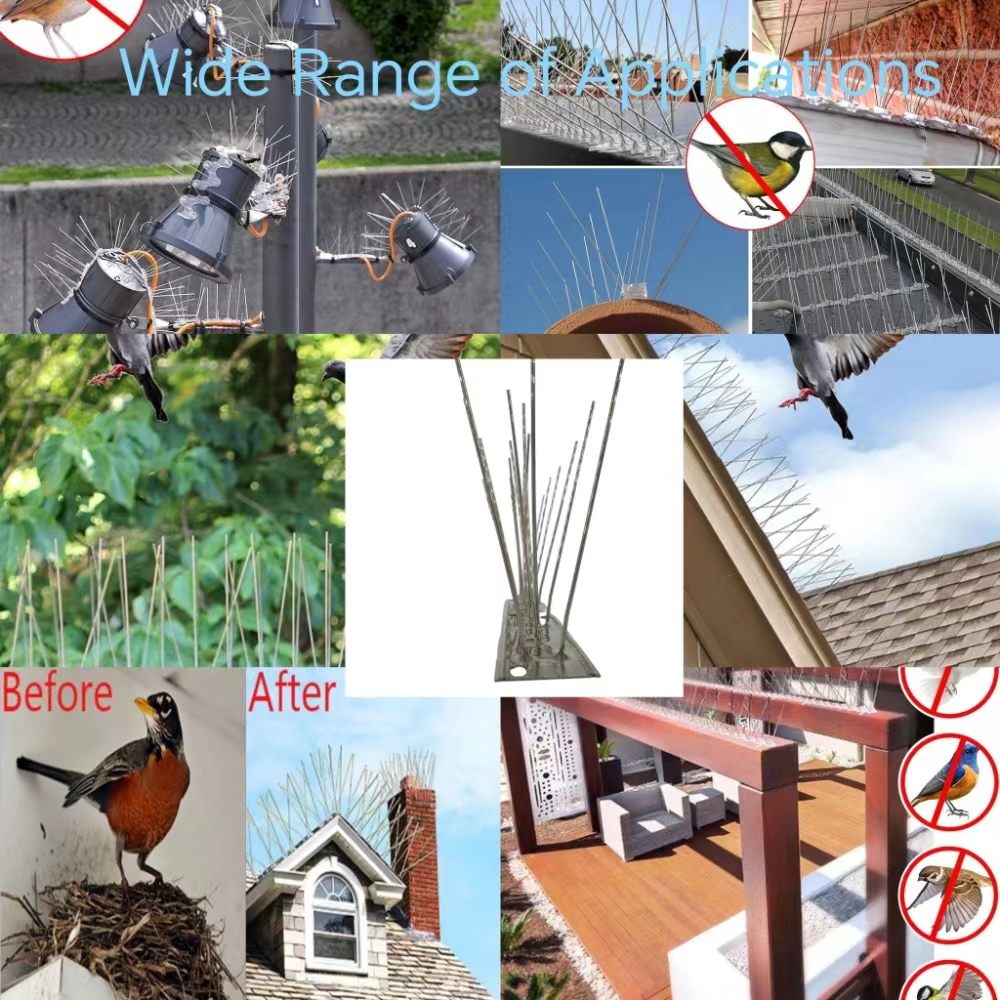 Guides PMPs on Efficient Bird Control Services with New Product Offerings