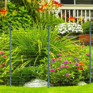 Durable T-Post: The Ultimate Solution for Your Fencing Needs