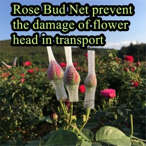 Plastic Protective Flower Bud Sleeve Rose Net with Low Price Flower Rose Bud Net