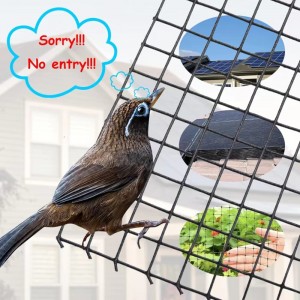 Guard Your Solar Investment with Our Solar Panel Bird Mesh Kit
