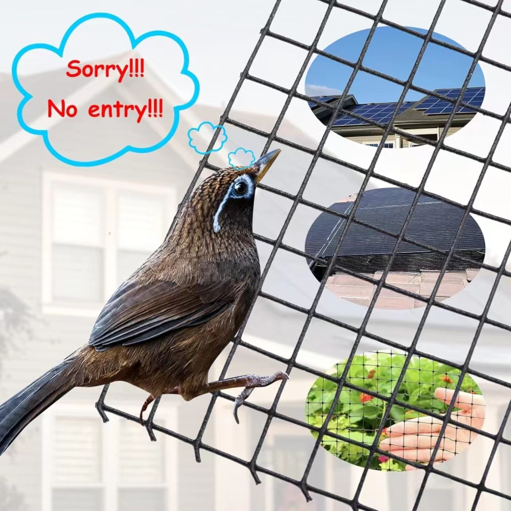 Hebei Tengfei Wire Mesh Company Unveils Bestseller – Solar Panel Bird Protection Kit