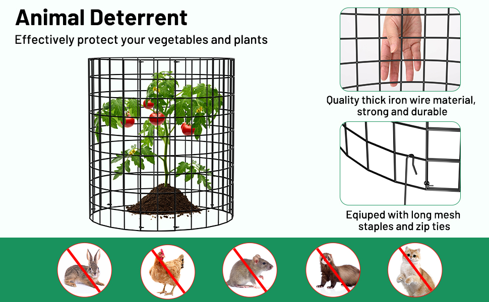 Tree Guards: The Bunny Barricade to Safeguard Your Plants